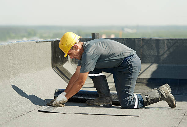 Best Cellulose Insulation in Belpre, OH