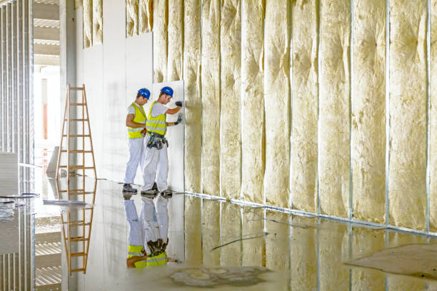 Best Specialized Insulation Services in Belpre, OH